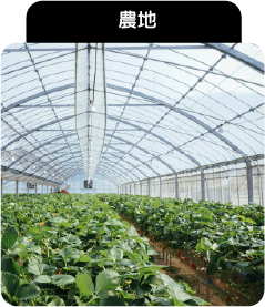農地